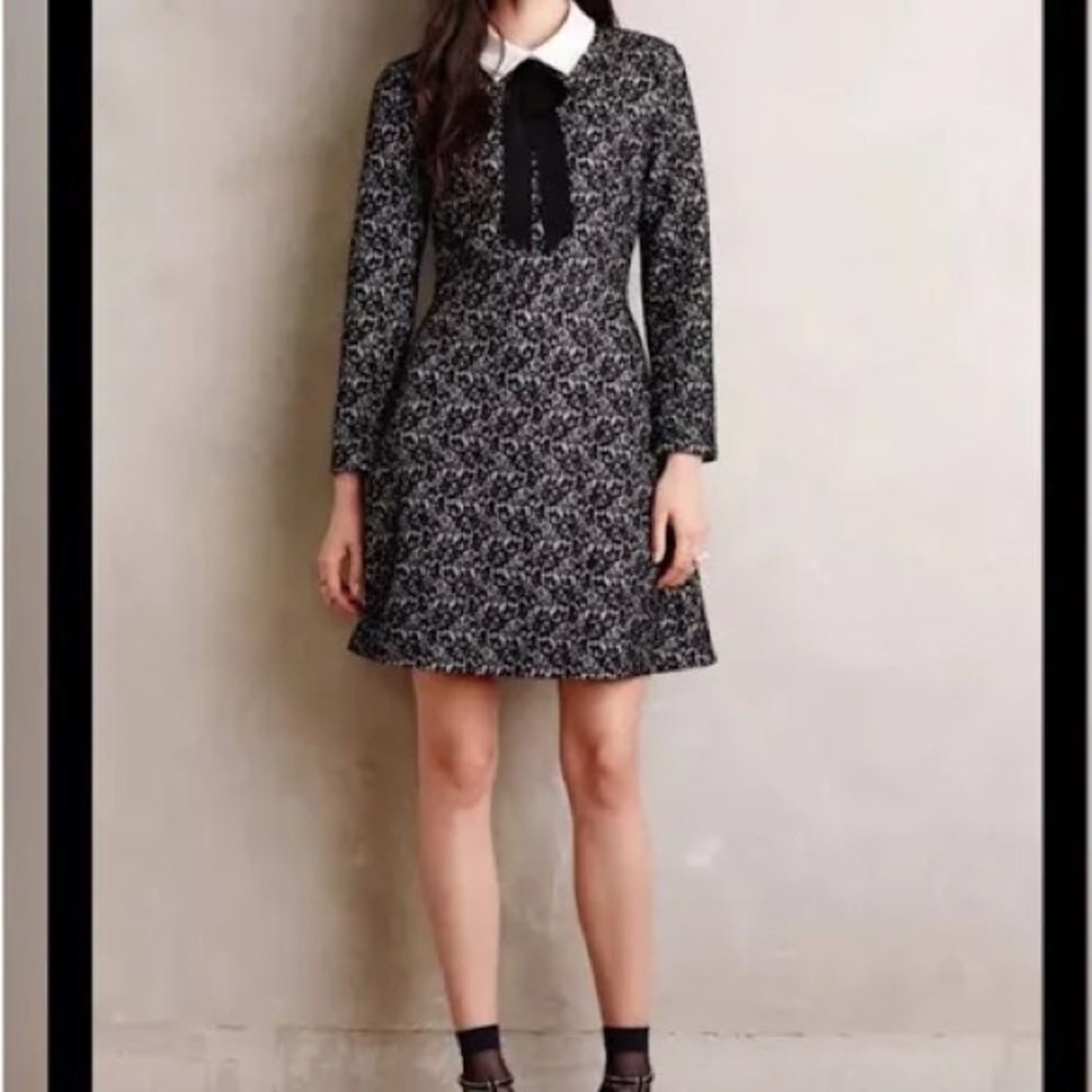 Designer Erin Fetherston Elegant Black and White Dress